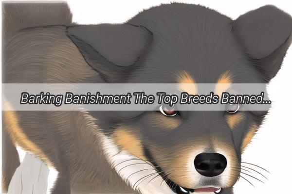 Barking Banishment The Top Breeds Banned in Xi Countys Dog Control Crackdown